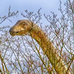2009, Grun Park, Spring, St Jacobs _AS04611-Edit