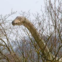 2009, Grun Park, Spring, St Jacobs _AS04611