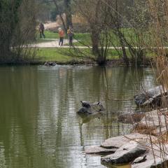 2009, Grun Park, Spring, St Jacobs _AS04612