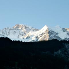 _AS05191_b2 Silberhorn