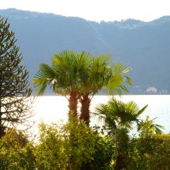 _AS05648_b2 Hotel gardens & lake