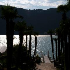 _AS05650_b2 Hotel gardens & lake