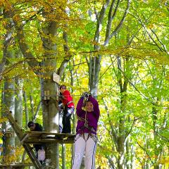 2010, Balmberg, Seilpark, Tara IMG_5500_b5w