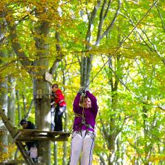 2010, Balmberg, Seilpark, Tara IMG_5501_b5w