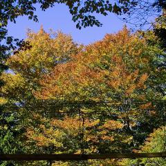2010, Balmberg, Seilpark IMG_5544_b5w