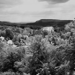 2010, BW, Ermitage IMG_2900_v2b5w_2