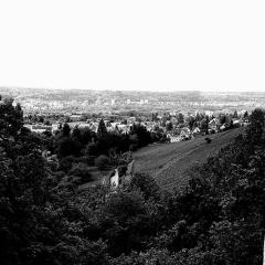 2010, BW, Ermitage IMG_2904_v2b5w