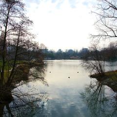 Basel, Grun Park, Location, When, Winter Basel, Grun Park, Location, When, Winter