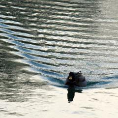 Basel, Grun Park, Location, When, Winter Basel, Grun Park, Location, When, Winter