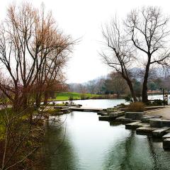 Basel, Grun Park, Location, When, Winter Basel, Grun Park, Location, When, Winter