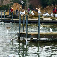 Basel, Grun Park, Location, When, Winter Basel, Grun Park, Location, When, Winter