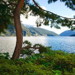 2010, Lugano 2010, Lugano
