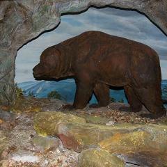 2010, Basel, Museum, Naturhistorisches 2010, Basel, Museum, Naturhistorisches