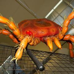 2010, Basel, Museum, Naturhistorisches 2010, Basel, Museum, Naturhistorisches