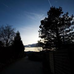 IMG_1973b5w