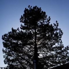 IMG_2104b5w