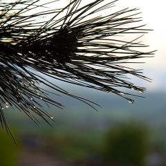 IMG_2748b5w
