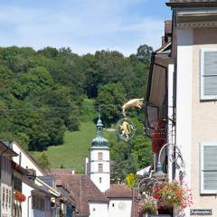 2010, Laufen 2010, Laufen