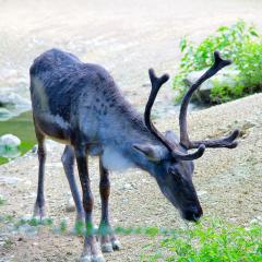 2010, Zoo 2010, Zoo