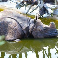 2010, Zoo 2010, Zoo