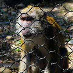 2010, Zoo 2010, Zoo
