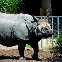 2010, Zoo 2010, Zoo