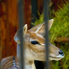 2010, Zoo 2010, Zoo