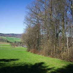 2010, Rodersdorf 2010, Rodersdorf