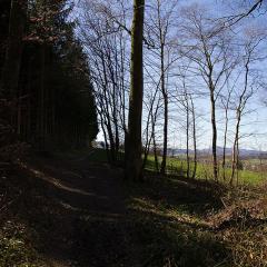 2010, Rodersdorf 2010, Rodersdorf