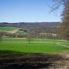 2010, Rodersdorf 2010, Rodersdorf