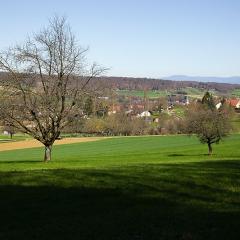 2010, Rodersdorf 2010, Rodersdorf