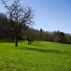 2010, Rodersdorf 2010, Rodersdorf