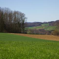 2010, Rodersdorf 2010, Rodersdorf