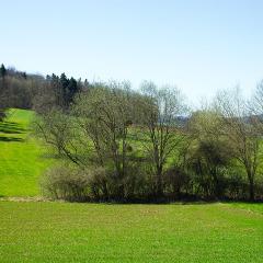 2010, Leymen 2010, Leymen