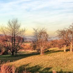 5D_11589lr4