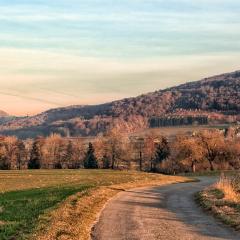5D_11609lr4