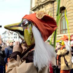 5D2-IMG_7915b5