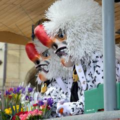 5D2-IMG_7923b5