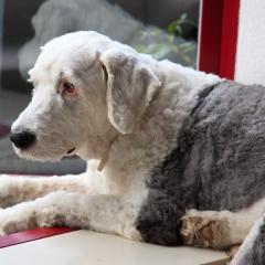 5D2_8609lr