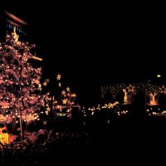 5D_11736-Edit