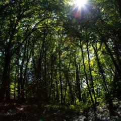 5D2_IMG_9285