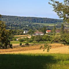 5D2_IMG_9374