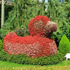 G12_IMG_1912