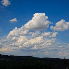 5D2_8613lr