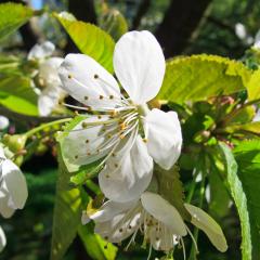 G12_0102lr_M