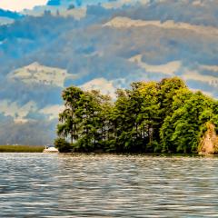 G12_0406lr