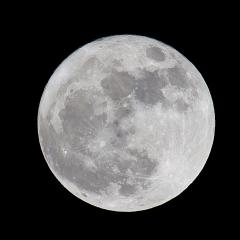 5D2-IMG_8026lr