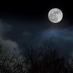 5D2-IMG_8035lr
