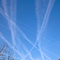 5D2-IMG_8062b5