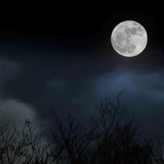 Moon_2560x1440